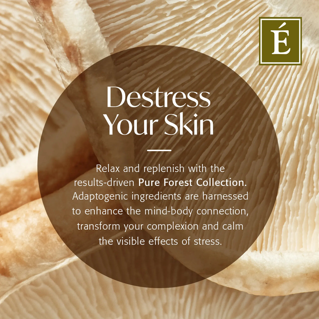 Crème réparatrice ultra-riche à l'ashwaganda