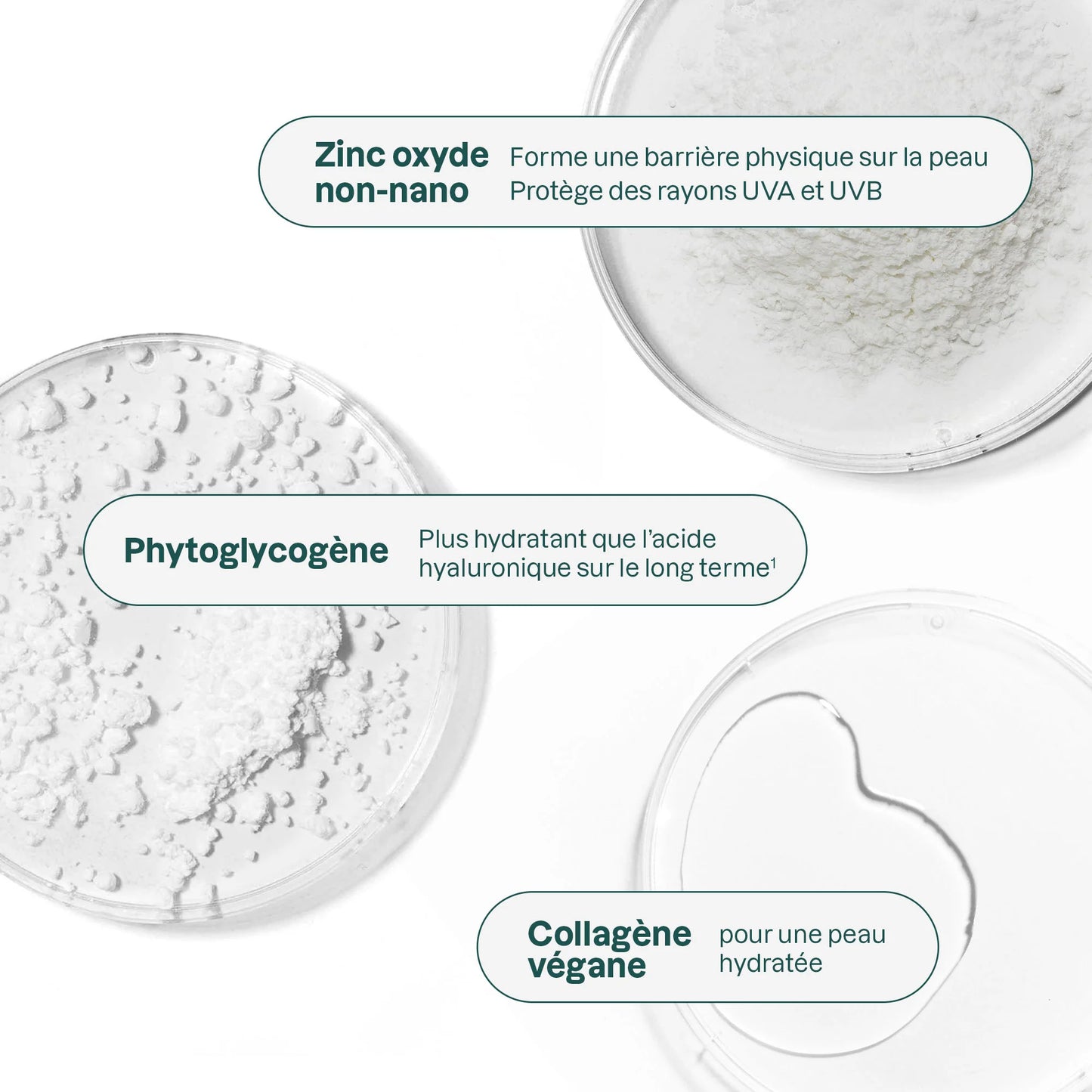 Coffret Phyto-Sun – FPS 30