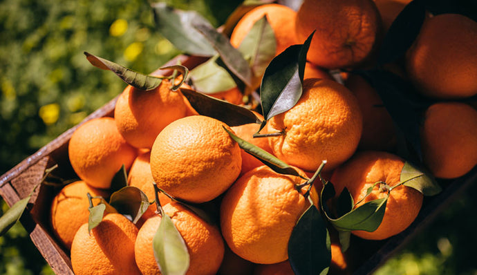 Vitamin C